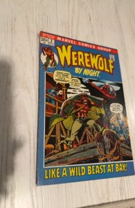Werewolf by Night #2 (1972) a wild beast at the bay!