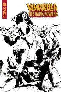 VAMPIRELLA DARK POWERS #1 30 COPY LEE B&W DEMONS INCV