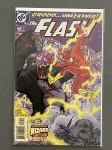 The Flash #193 (2003)