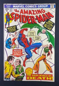 Amazing Spider-Man (1963) #127 VF/NM (9.0) Mary Jane Vulture