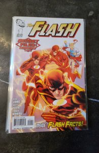 The Flash: Secret Files and Origins 2010 (2010)