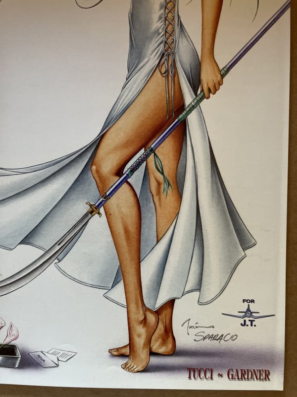 Shi: The Illustrated Warrior #5 NM Beautiful Tucci Cover (2002)