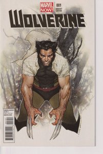 Marvel Comics! Wolverine! Issue #32! Oliver Coipel Variant Cover!