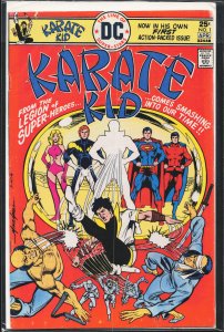 Karate Kid #1 (1976) Karate Kid