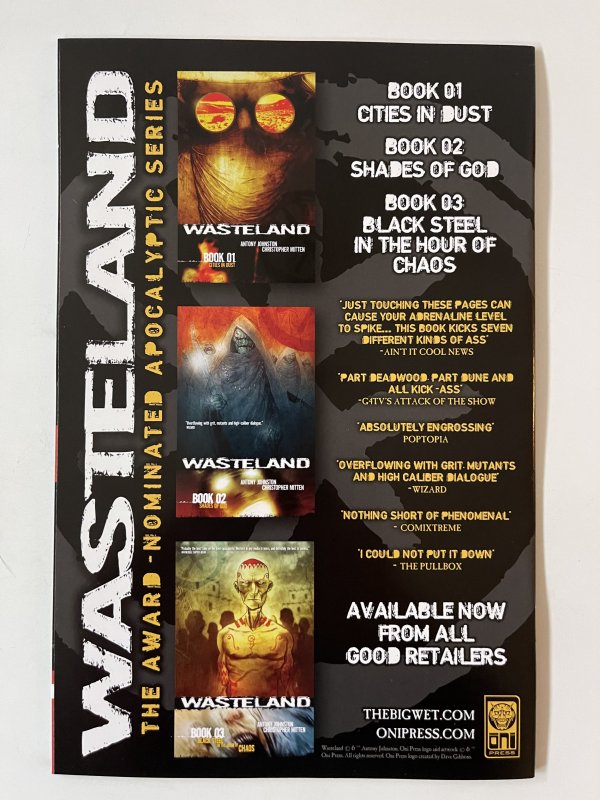 Wasteland #25  - NM+   (2009)