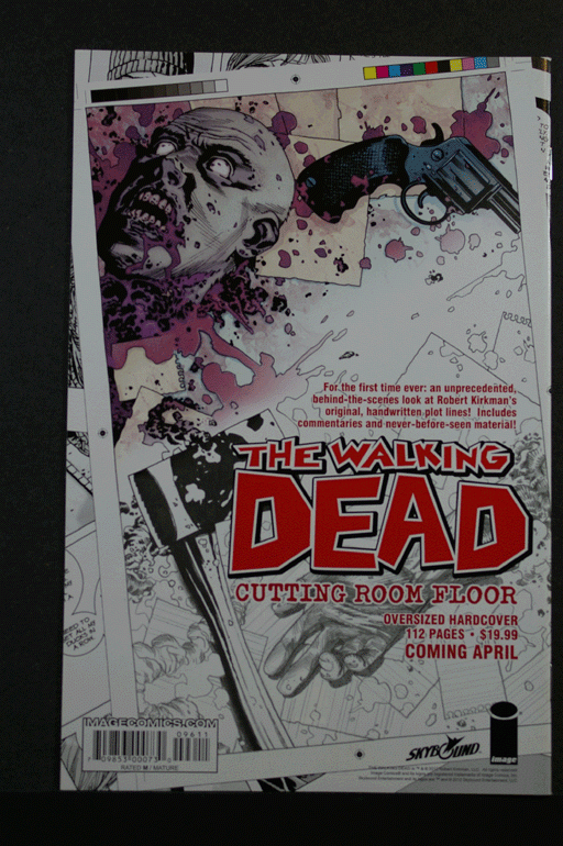 The Walking Dead #96