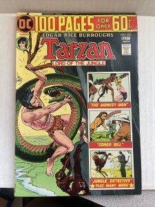 Tarzan #232 DC