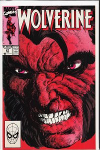 Wolverine #21 (1990) Wolverine