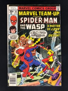 Marvel Team-Up #60 (1977) Spidey and the Wasp!