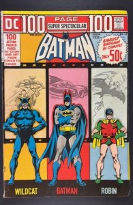 DC 100-Page Super Spectacular #14 (1973)