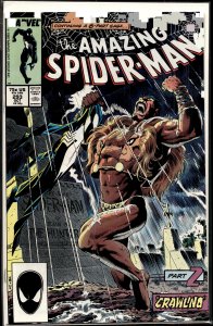 The Amazing Spider-Man #293 (1987) Spider-Man