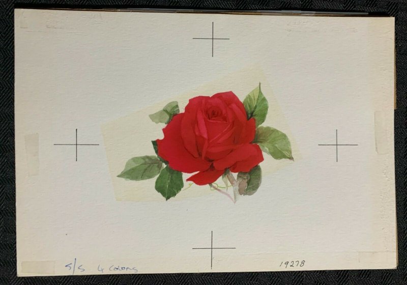 VALENTINES DAY One Single Red Rose 7.5x5.25 Greeting Card Art #19278 