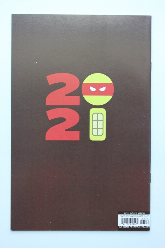 Teenage Mutant Ninja Turtles Annual B (2021) NM