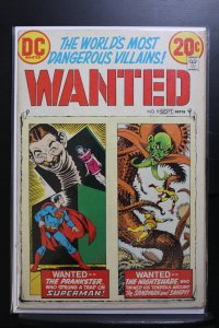 Wanted, The World's Most Dangerous Villains #9 (1973)