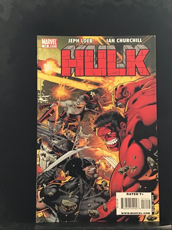 Hulk #14 (2009)