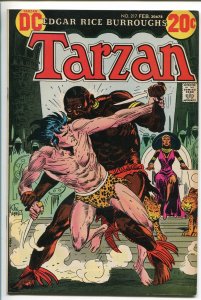 TARZAN #217 1973-DC-EDGAR RICE BURROUGHS-JOE KUBERT JUNGLE ART-vf+