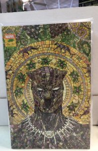 Black Panther #25 Cassara Cover (2021)