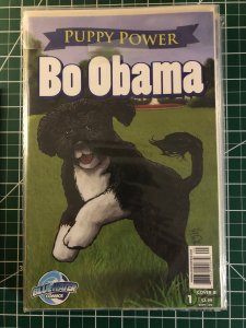 Obama ! Seven comics regarding the past President and family.  Bundle and Save!