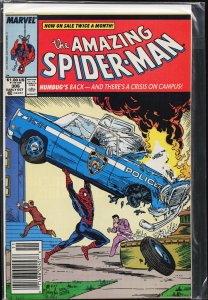 The Amazing Spider-Man #306 (1988) Spider-Man