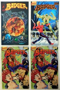Badger Lot of 4 #8, 12 x2, 2nd 4 (1997) Image Comics 1st Print Comic Books