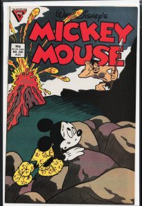 Mickey Mouse #249 (1989)