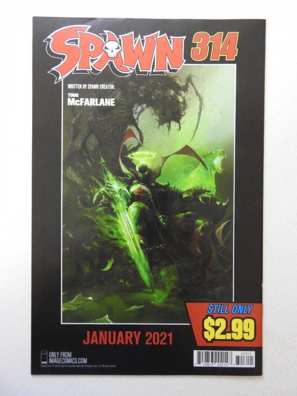 Spawn #313 (2020)