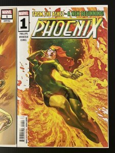 PHOENIX #1 CVR A + 1:25 GREG LAND VAR SET OF 2 X-Men 2024 IN-HAND PROSHIPPER