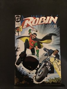 Robin #3