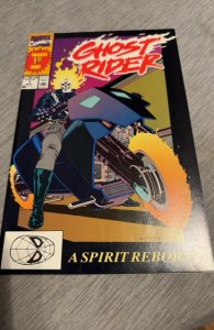 Ghost Rider #1 Direct Edition (1990) a spirit reborn texiera art