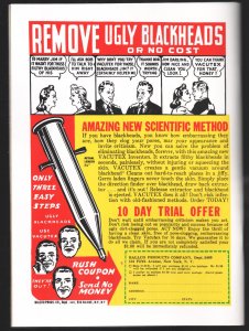 Fantastic Comics #24 2006-continuation of the Golden Age series-samson-Stardust