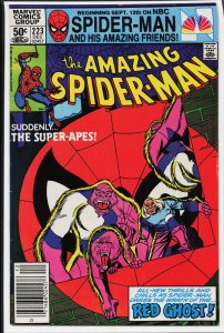 The Amazing Spider-Man #223 (1981) Spider-Man