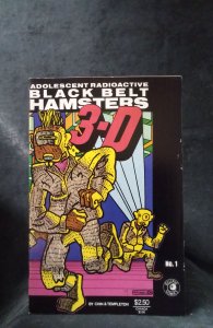 Adolescent Radioactive Black Belt Hamsters 3-D #1 (1986)