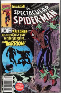 The Spectacular Spider-Man #163 (1990) Spider-Man