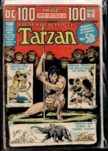 DC 100-Page Super Spectacular #19 (1973)