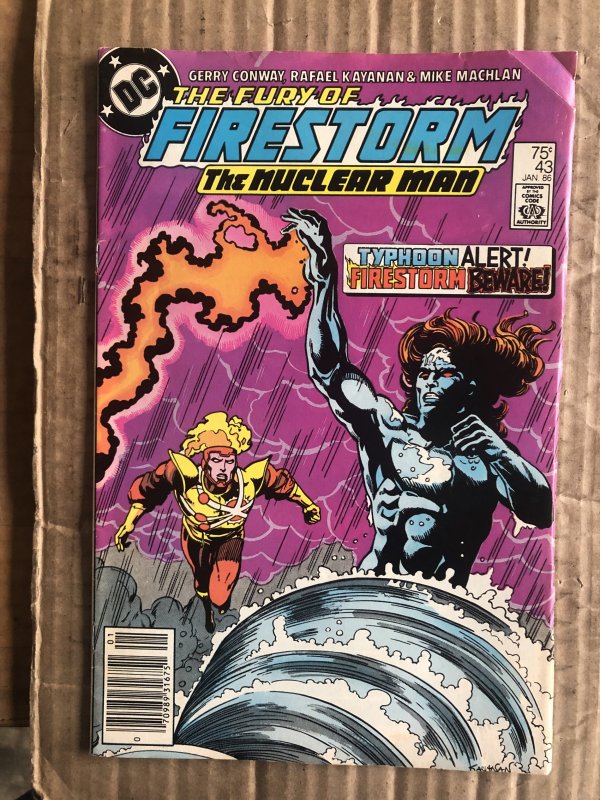 The Fury of Firestorm #43 (1986)