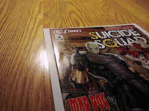 Suicide Squad #3 (2012) New 52