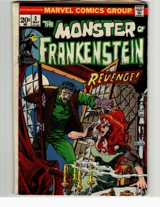 The Frankenstein Monster #3 (1973) Frankenstein Monster