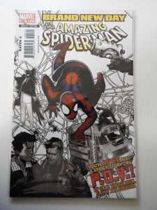 The Amazing Spider-Man #564 (2008)