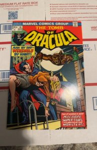 Tomb of Dracula #18 (1974)Dracula vs Werewolf by night