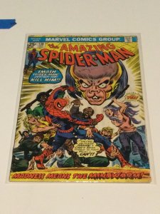 The Amazing Spider-Man #138 (1974) VG