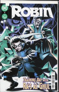 Robin #4 (2021) Robin