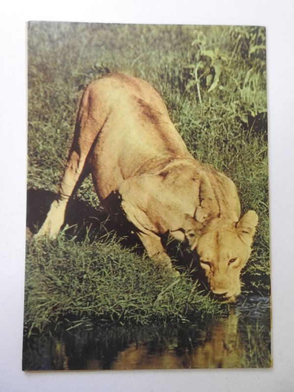 Four Color #665 (1955) FN+ Condition!