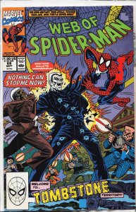 Web of Spider-Man #68 (1990) Spider-Man