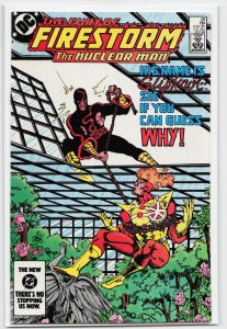 The Fury of Firestorm #28 (1984) Firestorm [Key Issue]