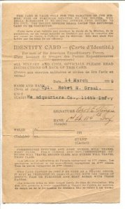 American Expeditionary Forces WWI Identity Card 3/14/1919-historic military-VG