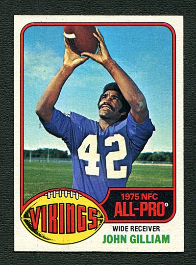 1976 minnesota vikings