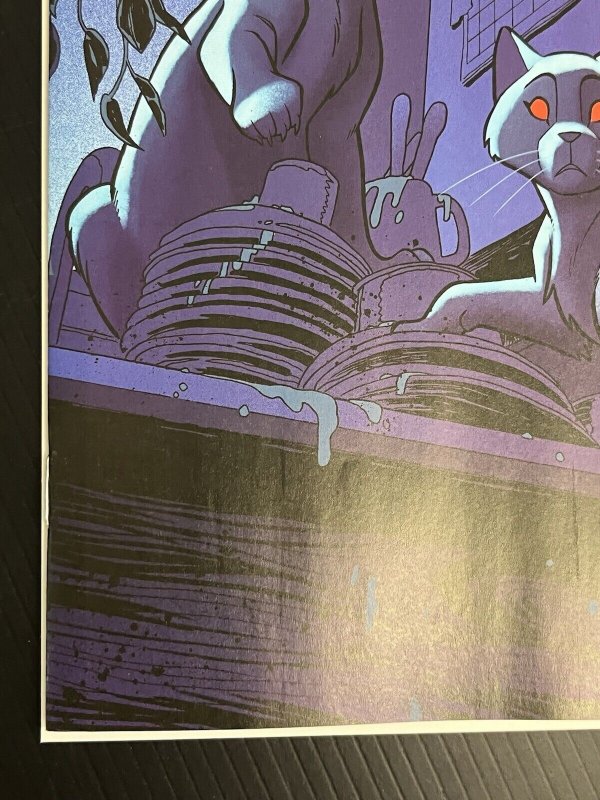 FERAL #8 1:10 FLEECS & FORSTNER VAR IMAGE COMICS 2024 VF/NM IN-HAND PROSHIPPER