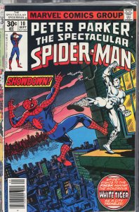 The Spectacular Spider-Man #10 (1977) Spider-Man