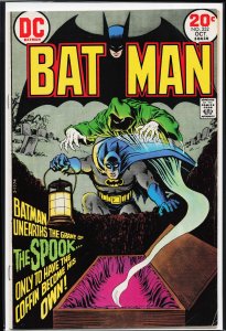 Batman #252 (1973) Batman