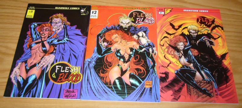 Flesh & Blood #1-3 VF/NM complete series JIM BALENT steve skroce bad girl comics